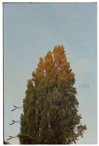 Nora Moles Nude TheFappeningBlog.com 12.jpg