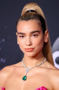 Dua Lipa Sexy TheFappeningBlog.com 41.jpg
