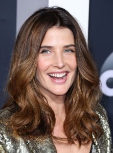 Cobie Smulders Sexy TheFappeningBlog.com 16.jpg