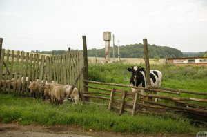 Ulyana Orsk Nude TheFappeningBlog.com 6.jpg