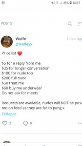 Screenshot_20191219-133532_Samsung Internet.jpg