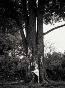 Natasha Poly Nude & Sexy 1.jpg