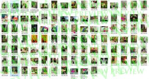 Béatrice Martin?.jpeg