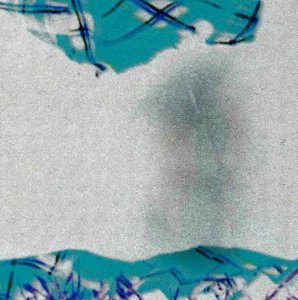 kilt anthea (4) neg.jpg