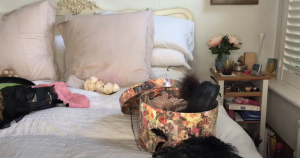 Screenshot (5848).png