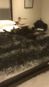 Kristen Stewart Video Preview 2.jpg