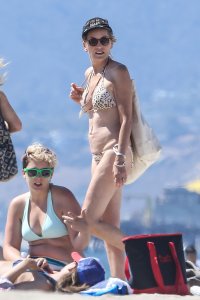 Sharon Stone Tit Slip 23.jpg
