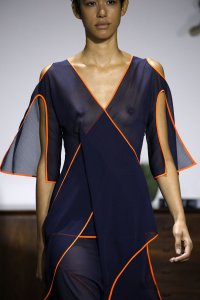 Janiece Dilone See Through 2.jpg