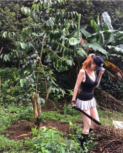 Screenshot_2020-10-19 Sarah Beattie ( nachosarah) • Instagram photos and videos(5).png