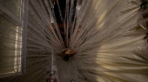 Shanola Hampton, Isidora Goreshter Nude 21.jpg Shanola Hampton, Isidora Goreshter Nude 21.jpg