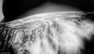 artwork by andy (53).jpg