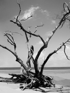 Shermine Shahrivar Nude 3.jpg