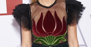 Gwyneth Paltrow See Through 2.jpg