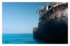 Nirvana XO 21_2021-07 Linsay Demyan (80).jpg