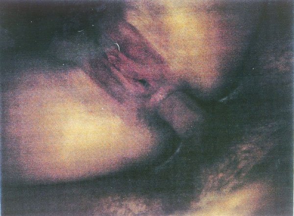 Paula Yates &amp; Michael Hutchence Naked (3 Photos)