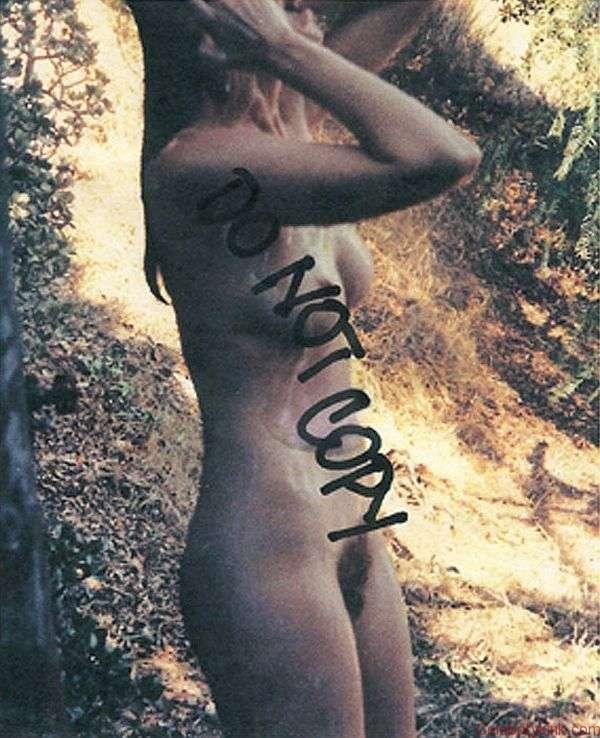 Marcia Cross Naked (5 Photos)