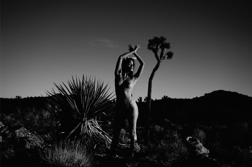 Nathalie Kelley Naked (13 Photos)