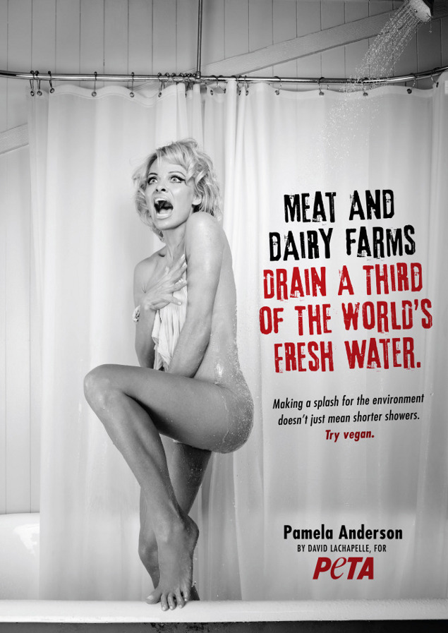 Pamela Anderson Naked (1 Photo)