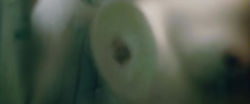 Ana de Armas, Lorenza Izzo Nude – Knock Knock (20 Pics + GIFs &amp; Video)