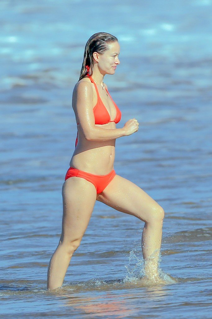 Olivia Wilde in a Bikini (23 Photos)