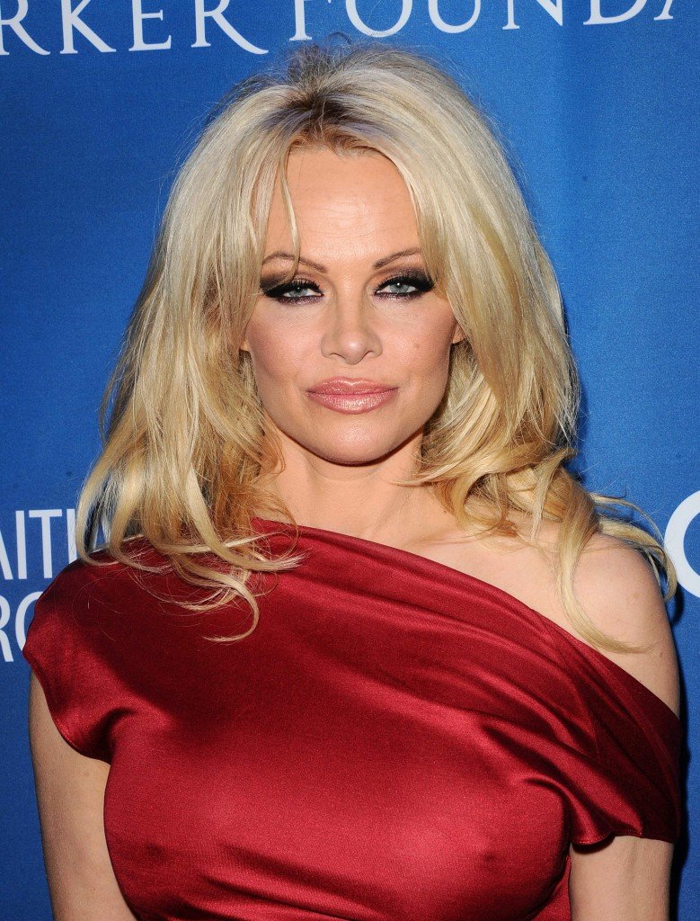 Pamela Anderson Pokies (16 Photos)