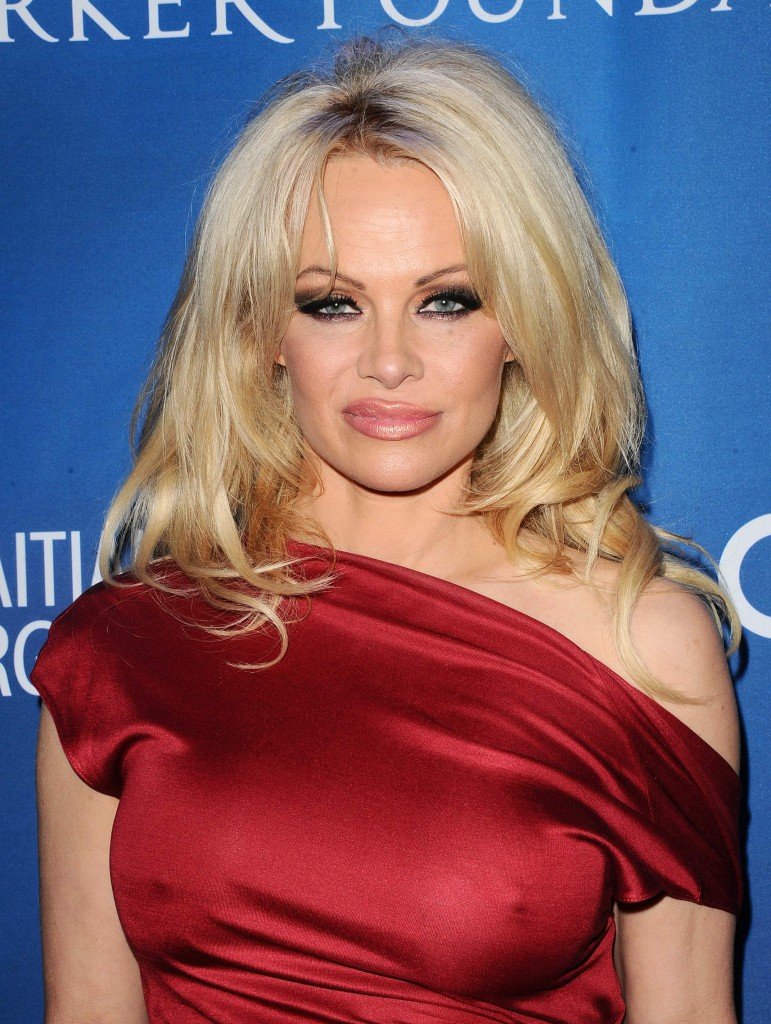 Pamela Anderson Pokies (16 Photos)