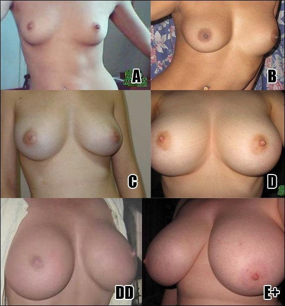 Poll: What breast size do you prefer? 