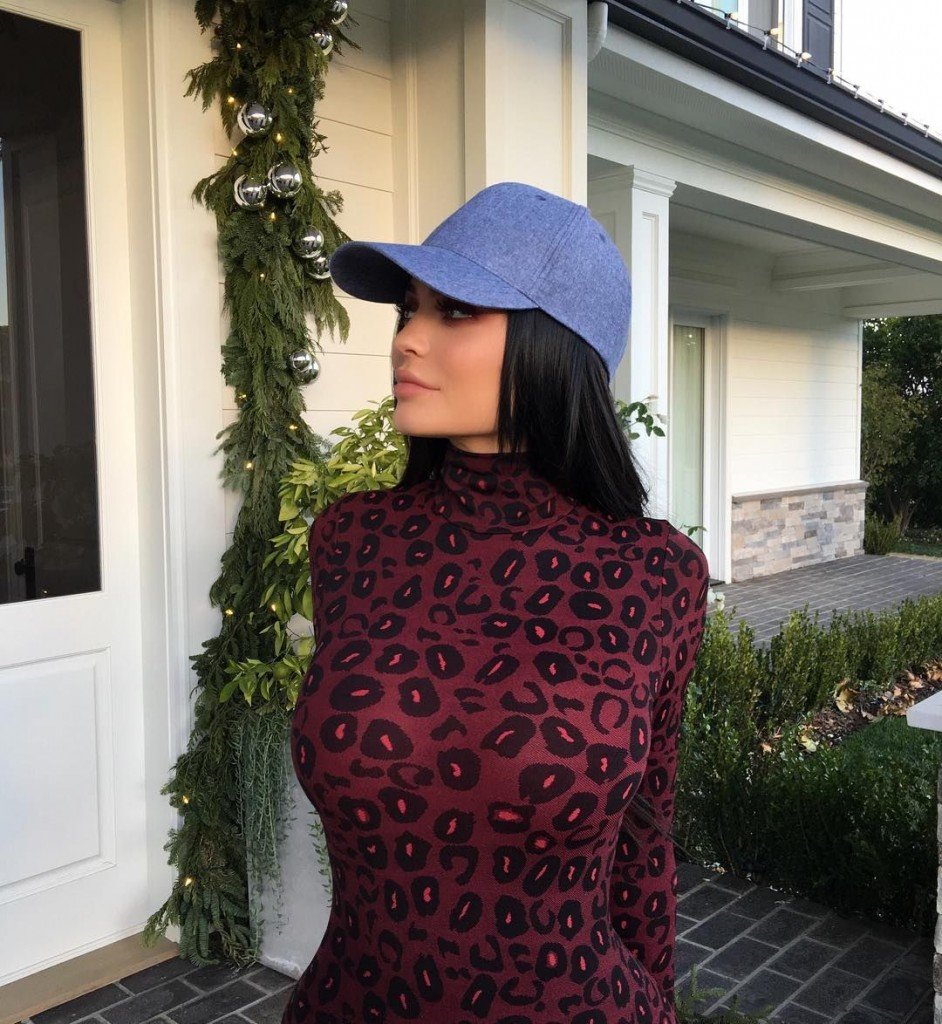 Kylie Jenner Sexy (17 Photos)