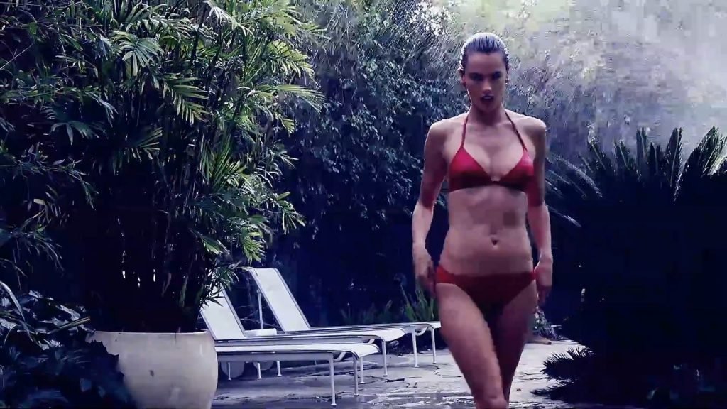 Alessandra Ambrosio Sexy &amp; Topless (40 Photos + GIFs &amp; Video)