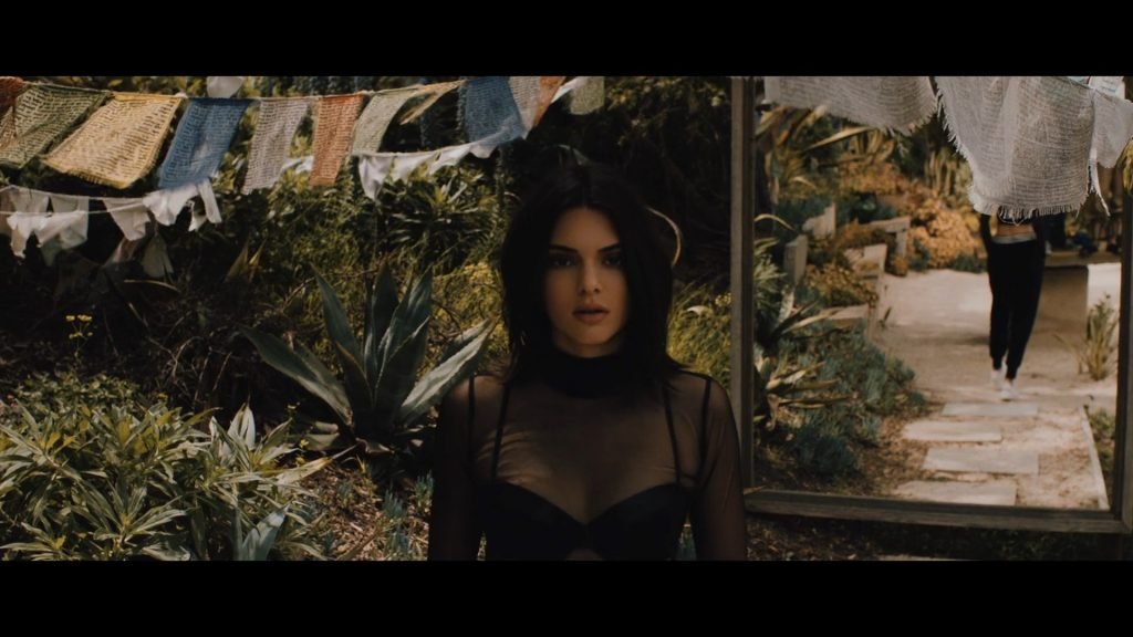 Kylie and Kendall Jenner Sexy (54 Pics + GIFs and Video)