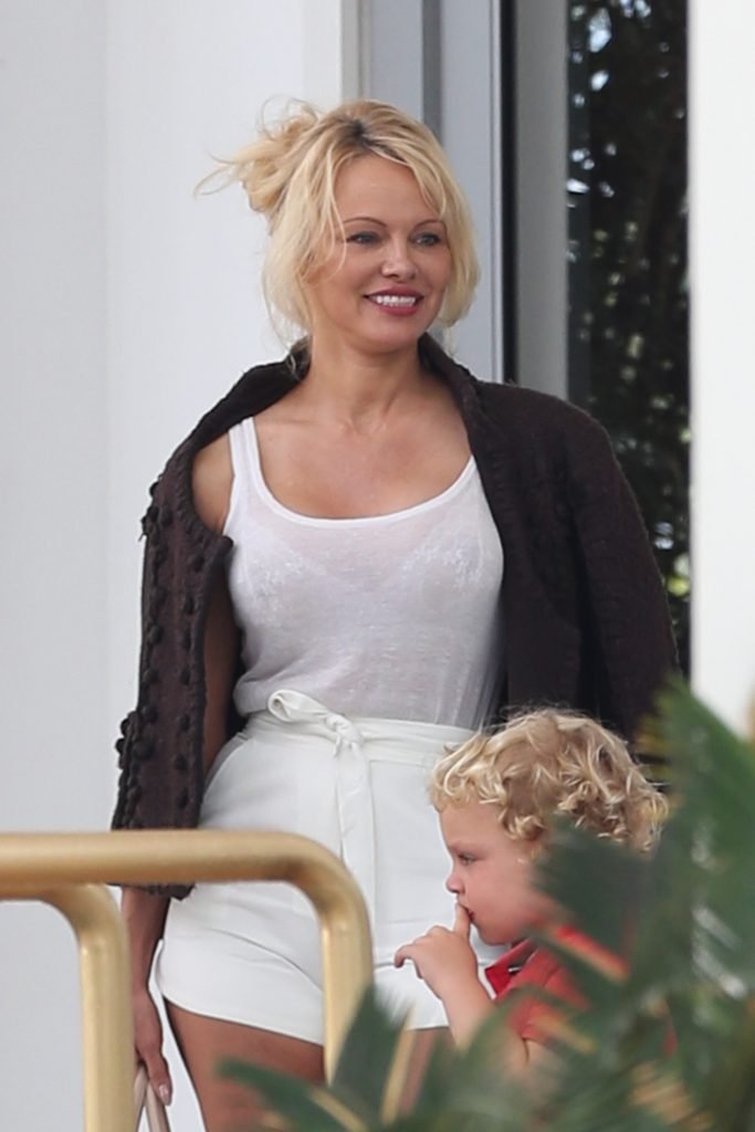 Pamela Anderson See Through (16 Photos)