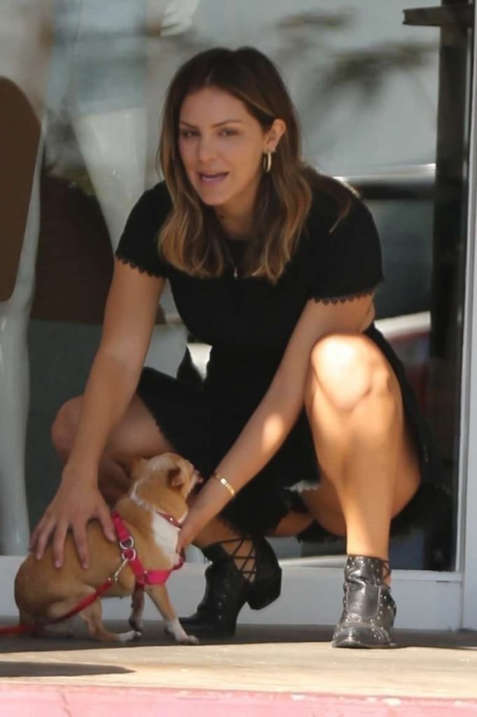 Katharine McPhee Upskirt (5 Photos)