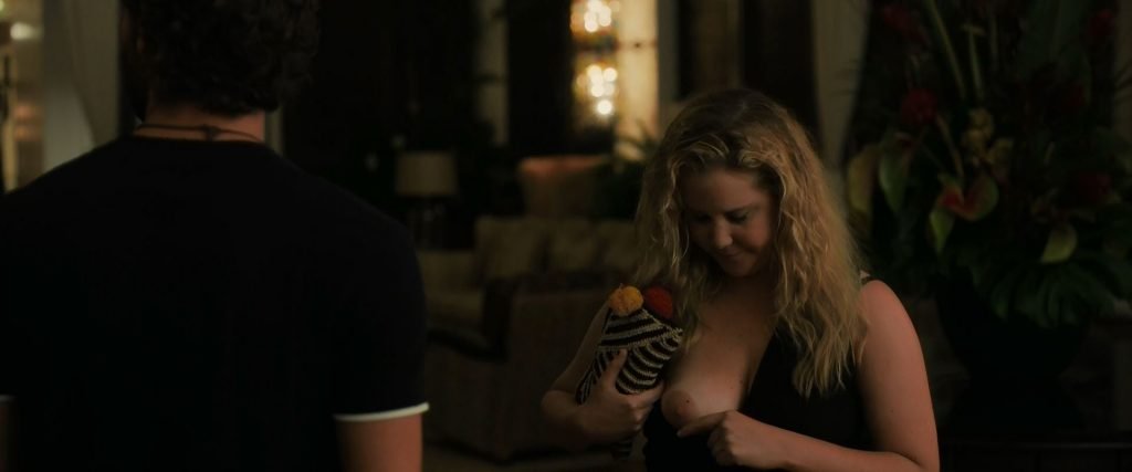 Amy Schumer Nude &amp; Sexy – Snatched (2017) 1080p BluRay