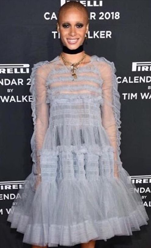 Adwoa Aboah See Through (5 Photos)