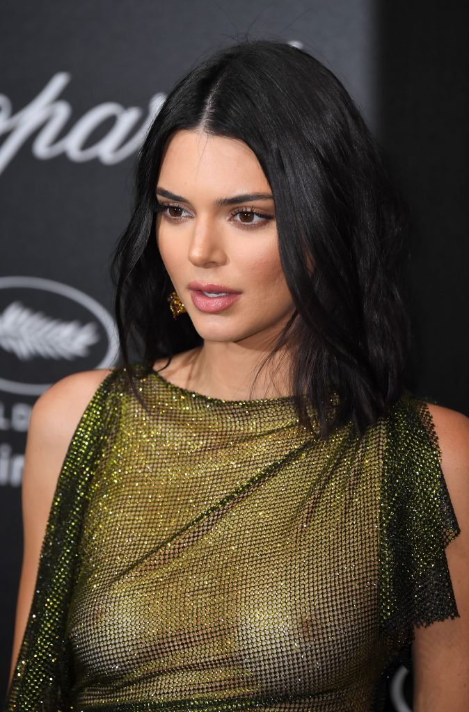 Kendall Jenner See Through (37 Photos + GIF &amp; Video)