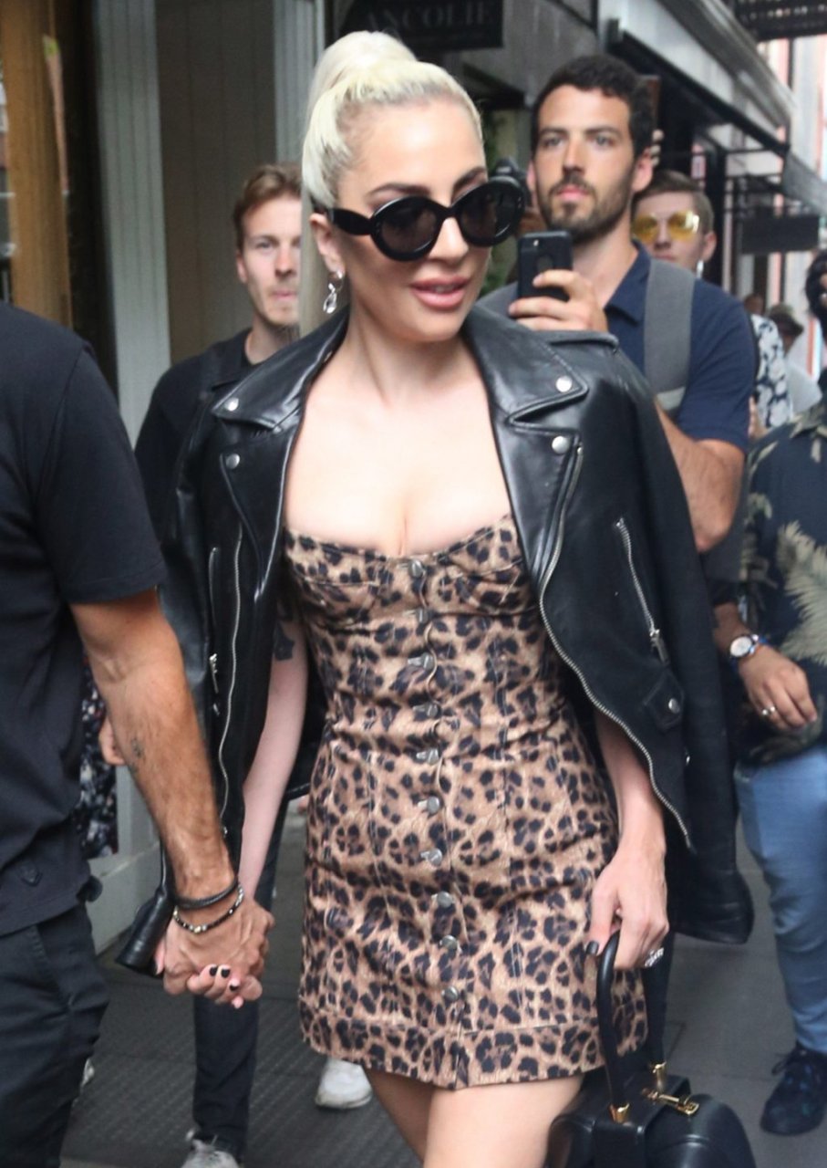 Lady Gaga Sexy (35 Photos)