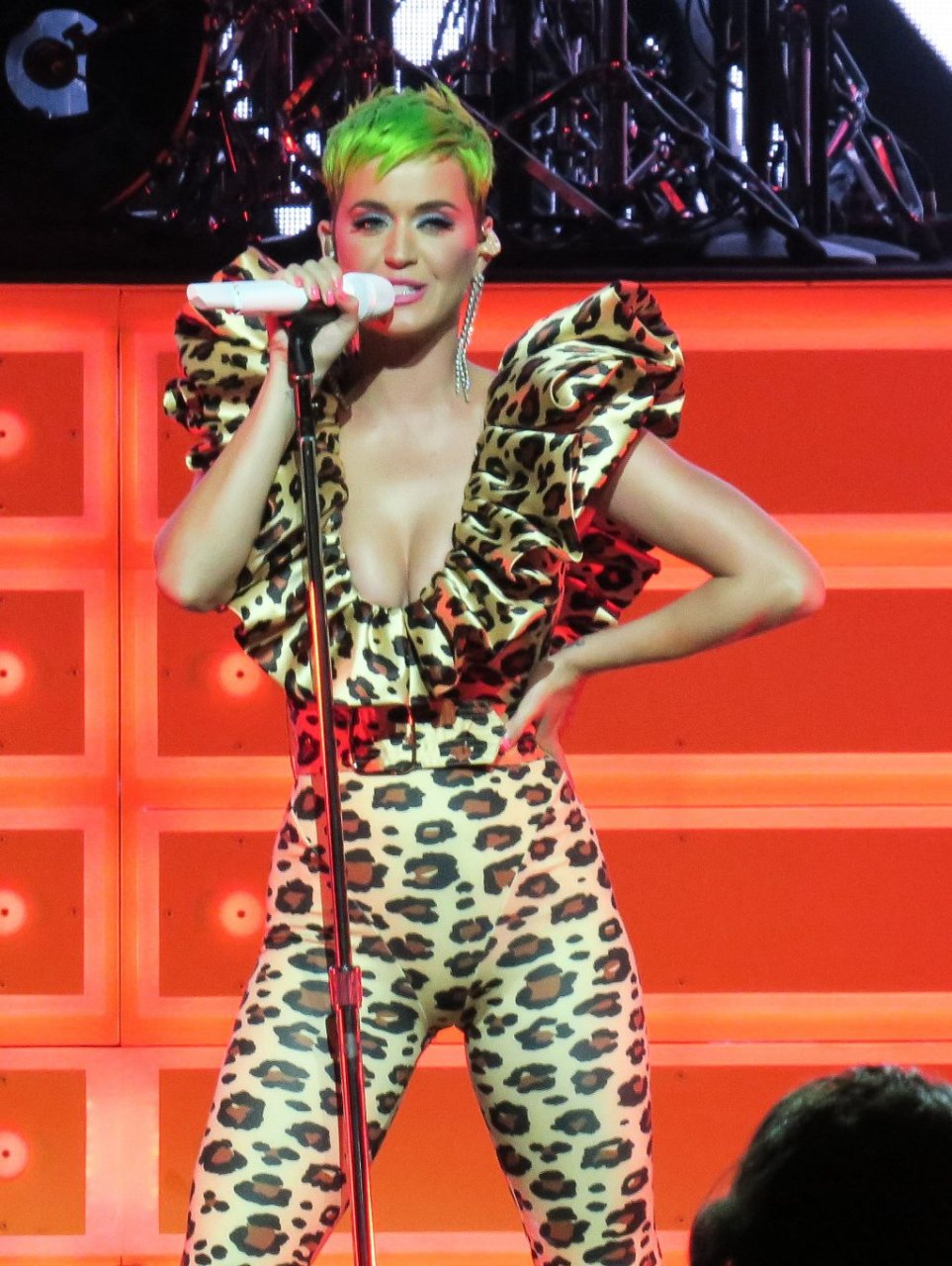 Katy Perry Sexy (8 Photos + Video)