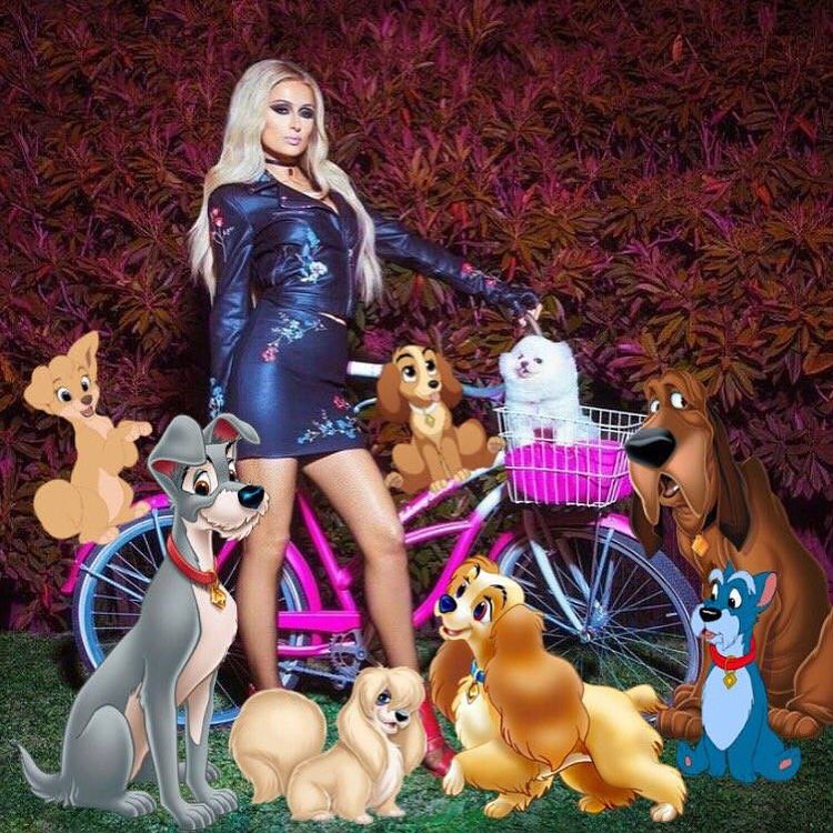 Paris Hilton Sexy (108 Photos)