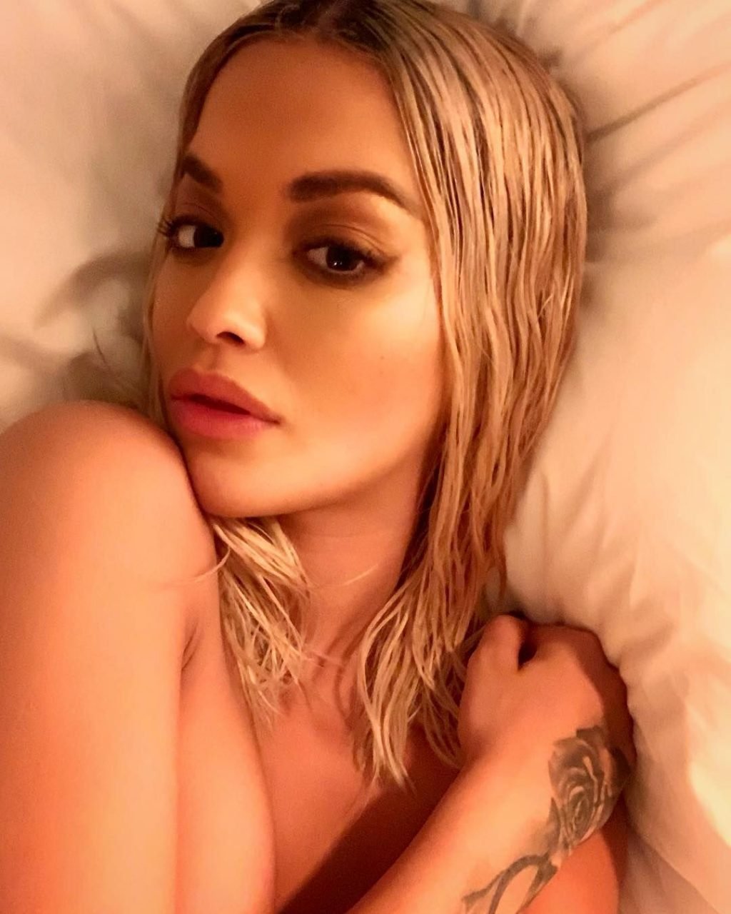 Rita Ora Nude &amp; Sexy (14 New Photos)