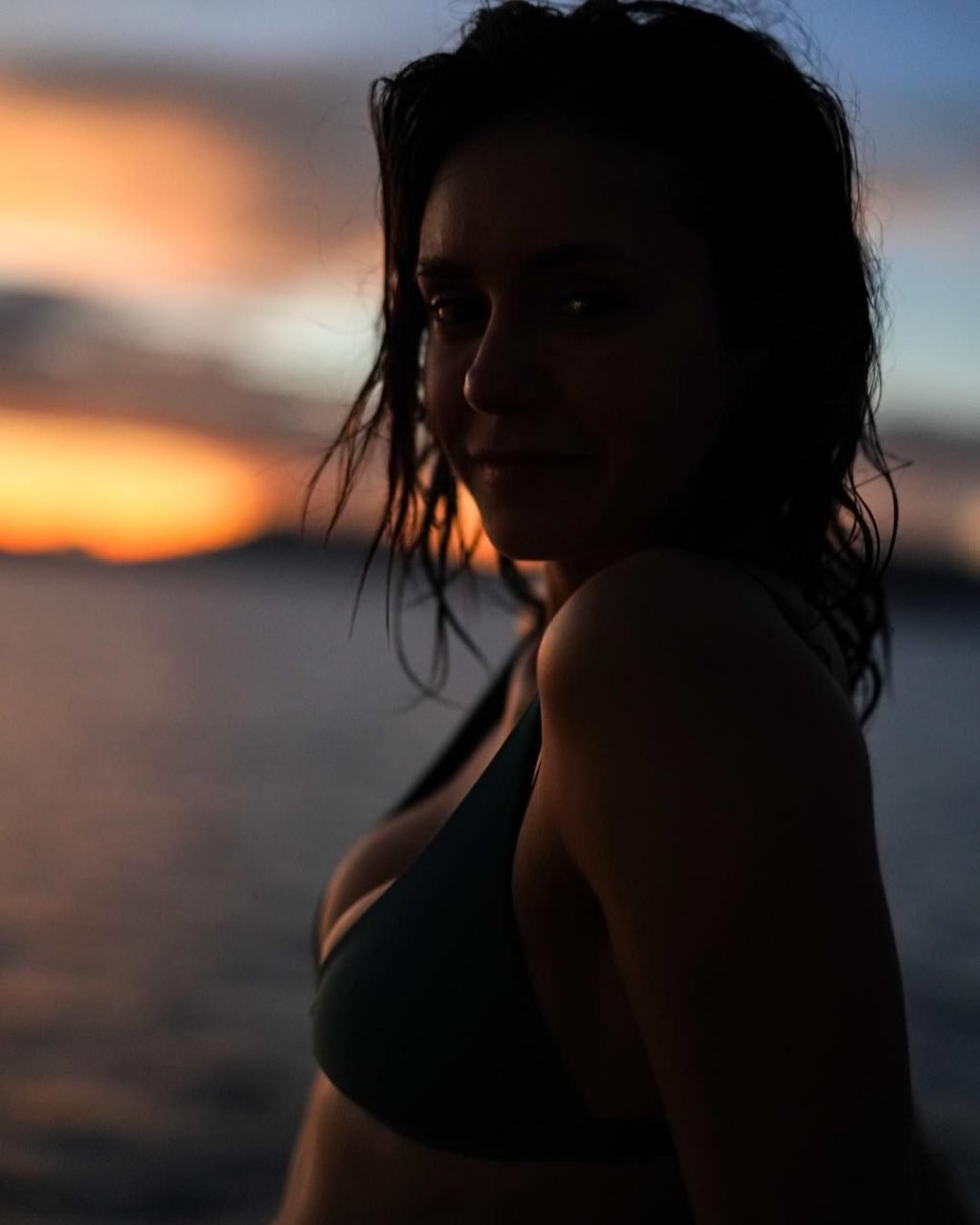 Nina Dobrev Sexy (56 Photos + GIFs &amp; Videos)