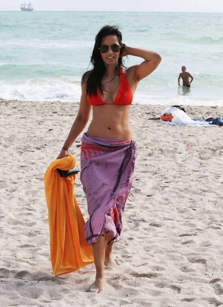 Padma Lakshmi Sexy (61 Photos)
