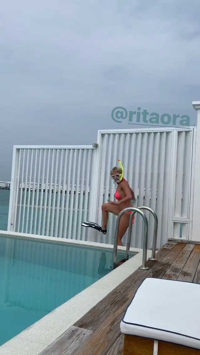 Rita Ora Sexy (15 Pics + GIF)