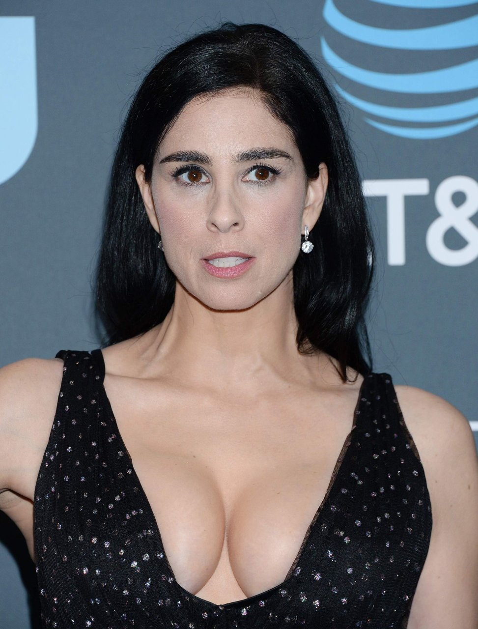 Sarah silverman fappening