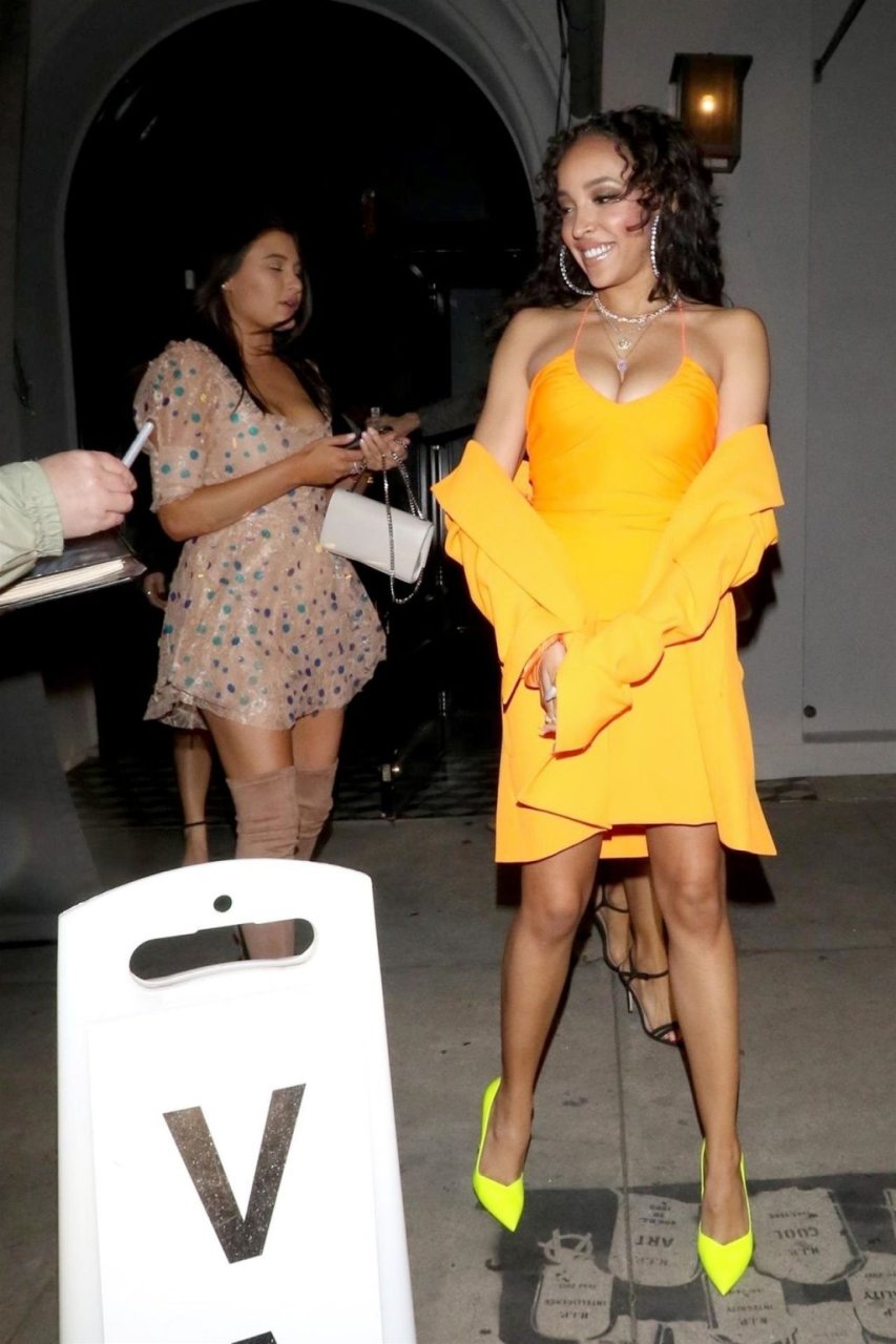 Tinashe Sexy (22 New Photos)