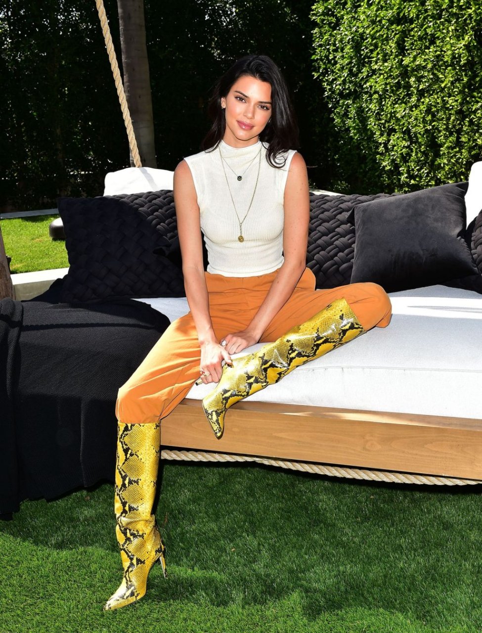 Kendall Jenner See Through (41 Photos)