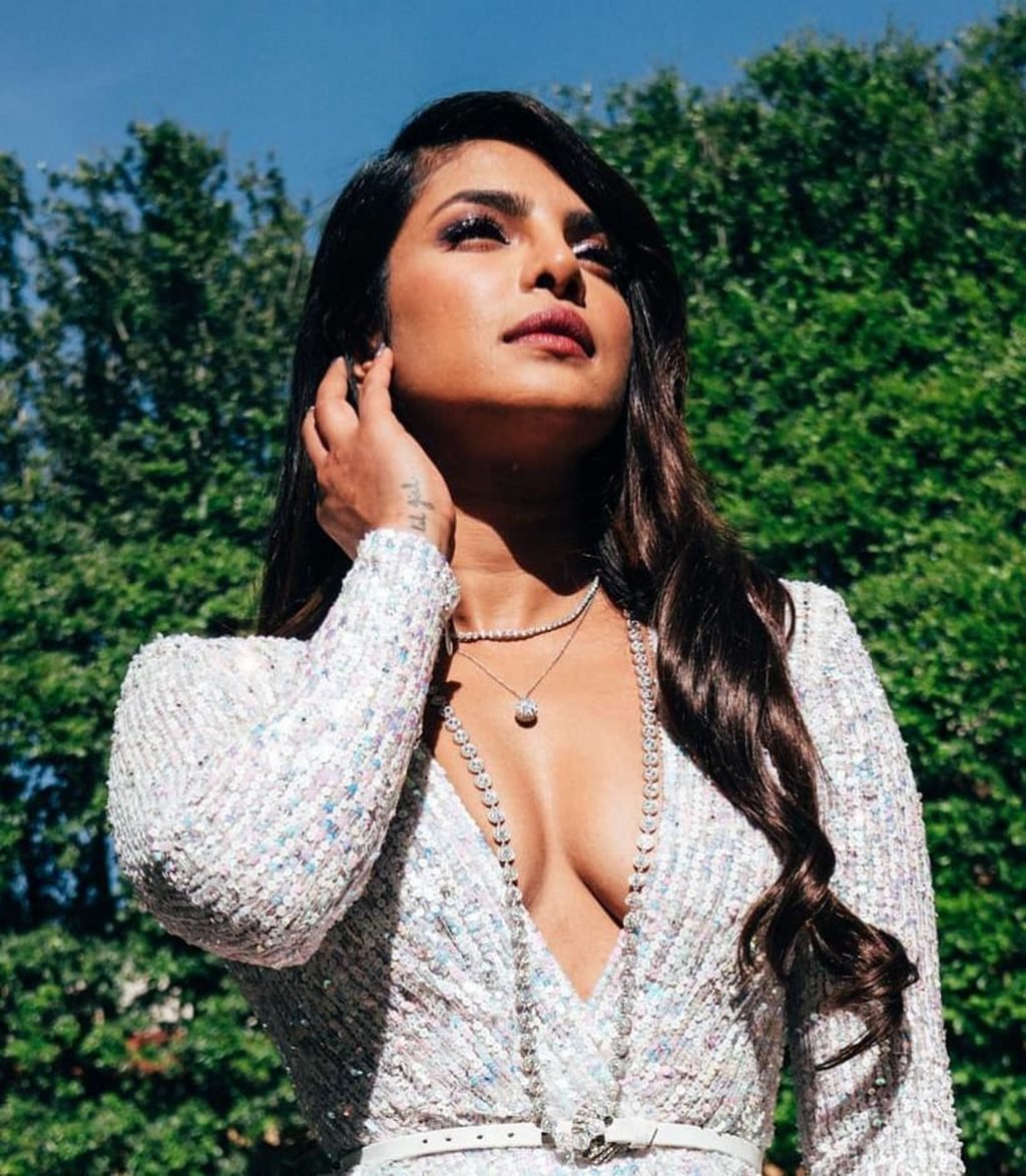 Priyanka Chopra Sexy (30 New Photos)