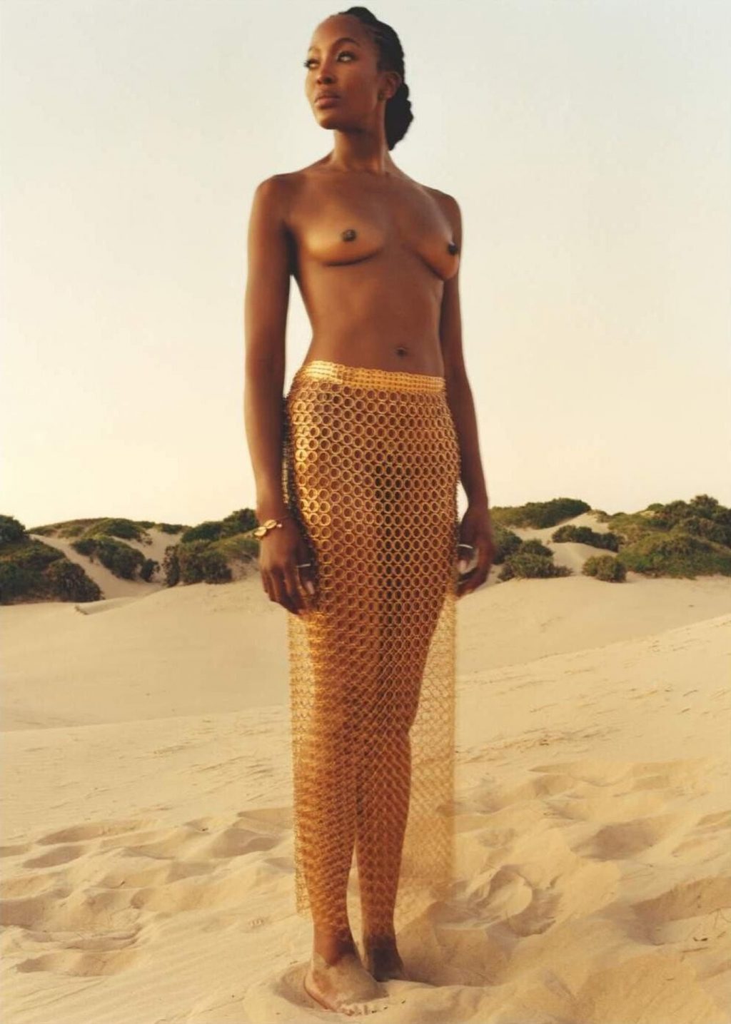 Naomi Campbell Nude &amp; Sexy (10 Photos)