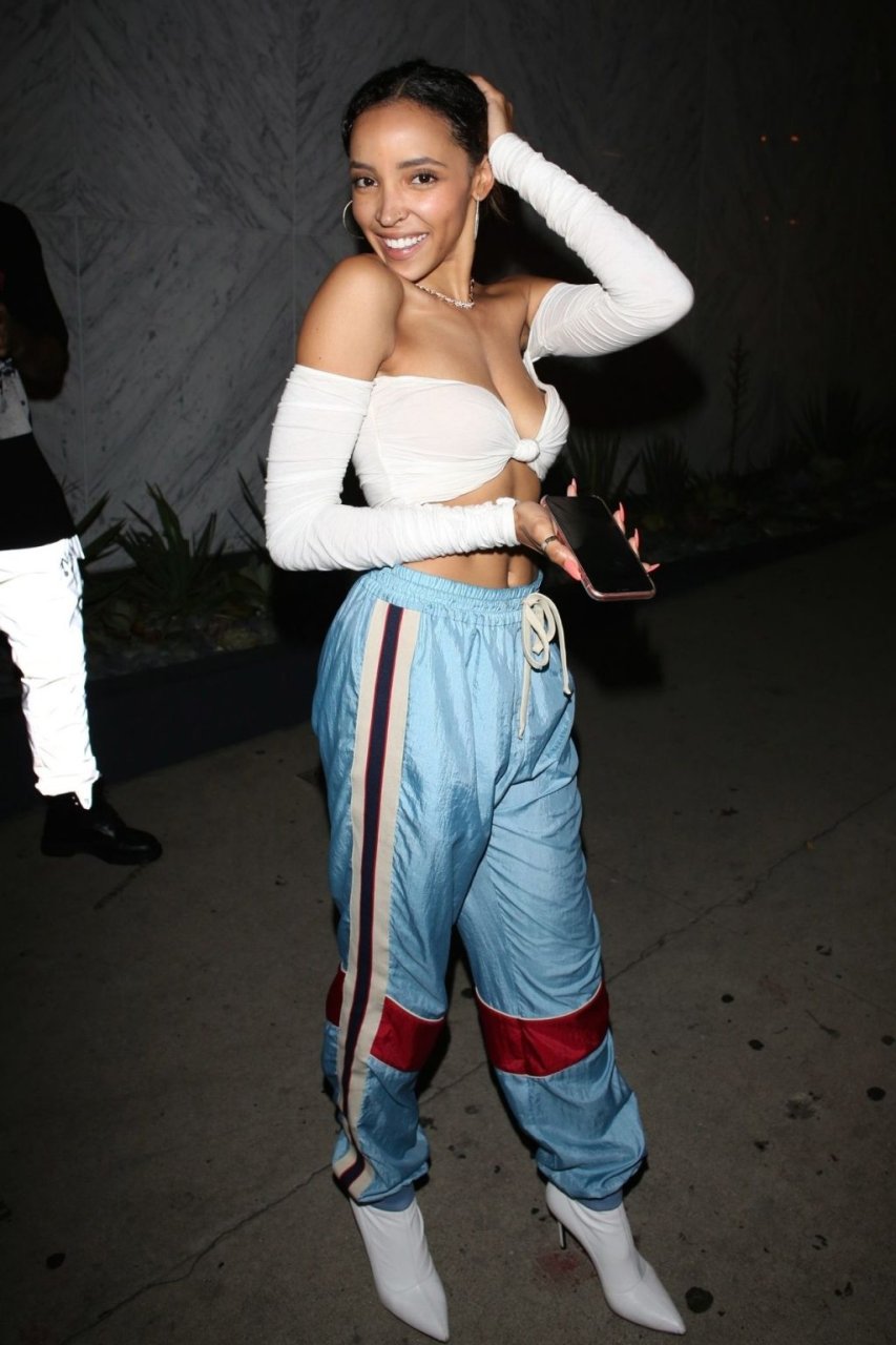 Tinashe Sexy (16 Photos)