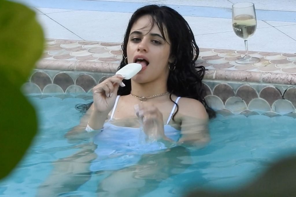 Camila Cabello Sexy (57 Photos)