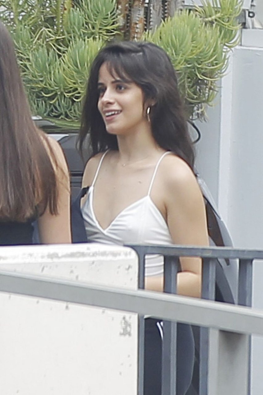 Camila Cabello Sexy (36 Photos)